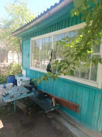 Продам дачу, фотография 5
