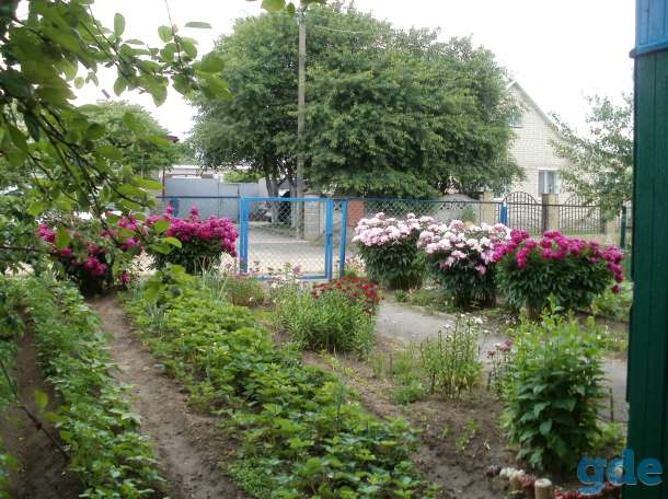 продам дом в Дубровно, фотография 4