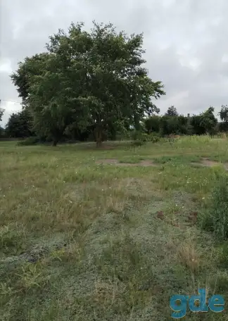 Продам участок, Пуховичский ройон, аг  Горелец, фотография 3
