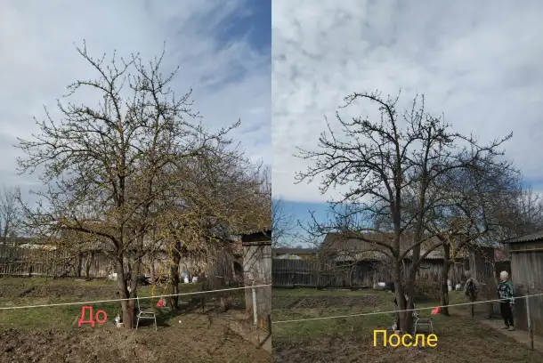 Садовник, уход за садом, фотография 2