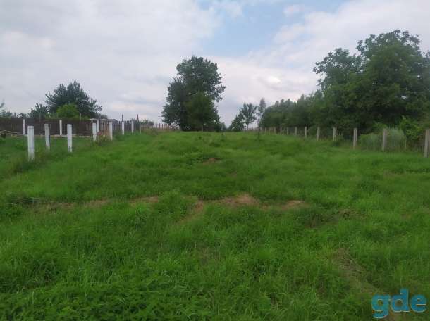 Продам участок, д.Нехолсты, фотография 3