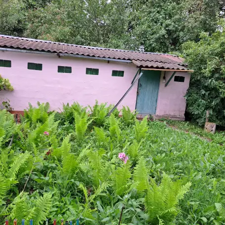Продается дом в деревне Родковичи, Барановичского р-на, ул. Короткая 1-А, фотография 4