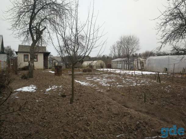 Дача Шнитки Новополоцк, 10-я Яьлоневая д.33 (Шнитки), фотография 6