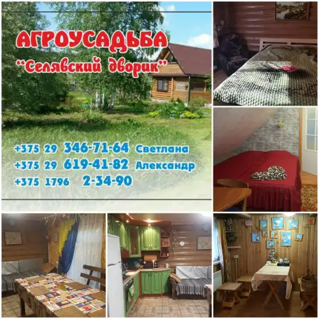 гостевой домик на о.Селява, Минская область, Крупский район,д.Дубы ул Центральная,4, фотография 12