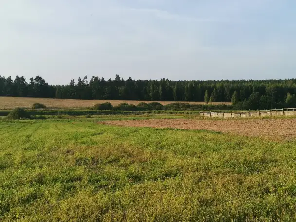 Продажа дома в деревне с хоз. Постройками и большим огородом. Рядом озеро с рыбой и лес с ягодами и грибами., фотография 7