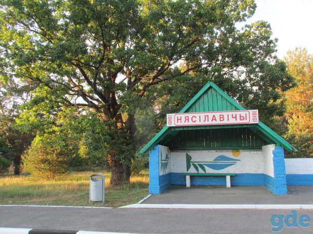 Дом у реки, Д. НЕСИЛОВИЧИ, фотография 2