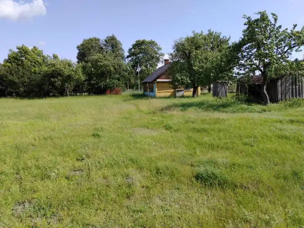 Продается уютный дом с садом у леса и реки в д. Омговичи, фотография 9