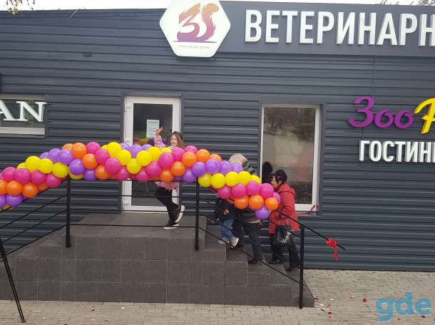 Ветеринарная клиника в Орше, фотография 1