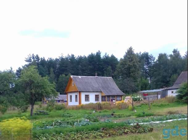 Продаётся участок с домом в отличном месте для жизни и отдыха., фотография 4