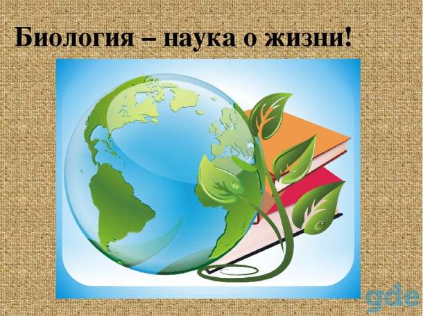 Репетиторство по биологии в Борисове, фотография 1