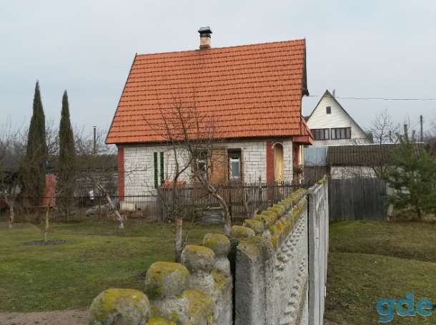 Продаю усадьбу в деревне Скиток Гомельского района, фотография 1