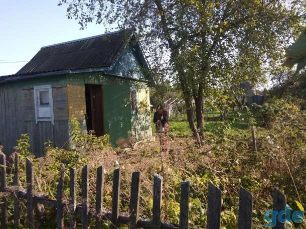 Продам дачу., фотография 1