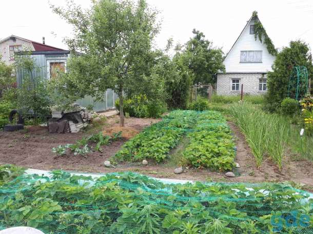 Дача по ходу электрички Пуховичский район  6км от г. Марьина Горка, фотография 5