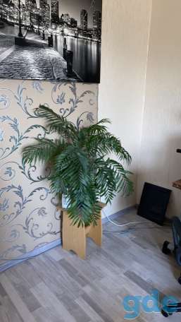 Срочно продам 1комнатную квартиру, Ул.Владимирова, д27, фотография 1