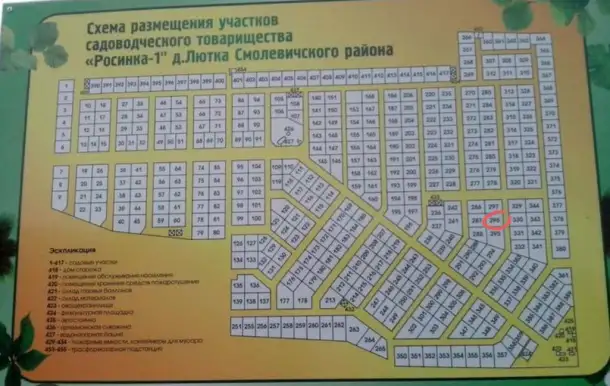 Продается участок в 30 мин от Минска, фотография 4