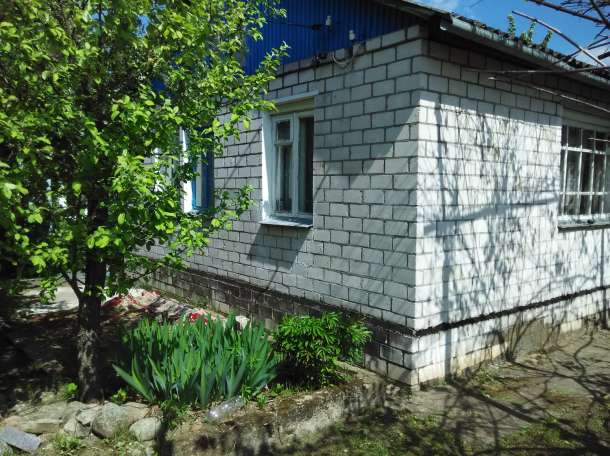 Продается дача, с.т. Подшипник, фотография 5