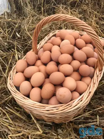Яйцо куриное Фермерский продукт, фотография 1
