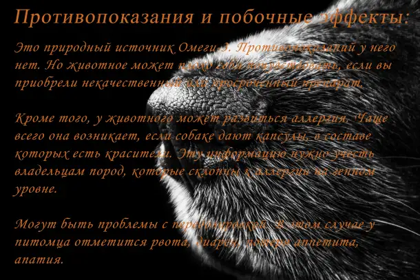Рыбное масло из семейства лососёвых рыб, фотография 9
