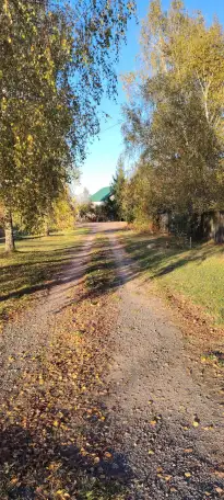 Продажа жилого дома в живописном месте с видом на лес, фотография 3