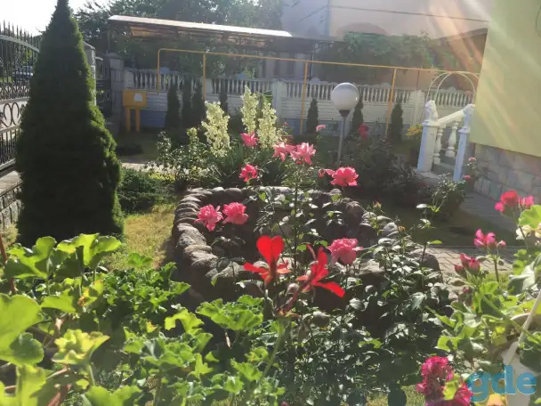 Продажа дома в Галево Пинский район, фотография 12