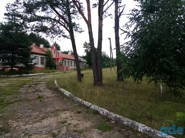 Ищем партнеров для Организации загородниго  отдыха. Организация пейнтбольных и страйкбольных игр, фотография 2