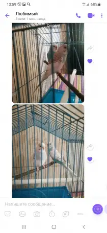 Продам, фотография 2