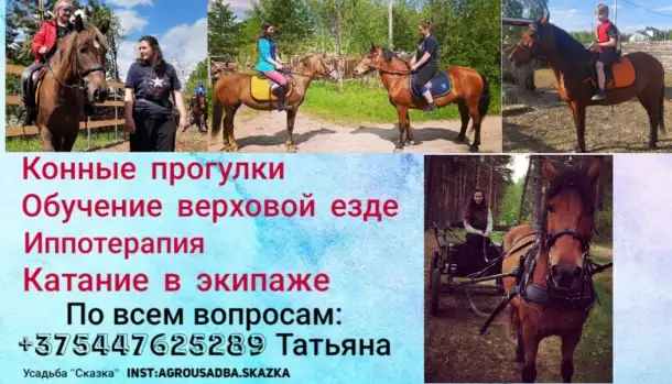 Конные прогулки, фотография 1