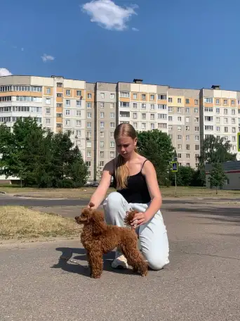 Хендлер в Минске, фотография 9