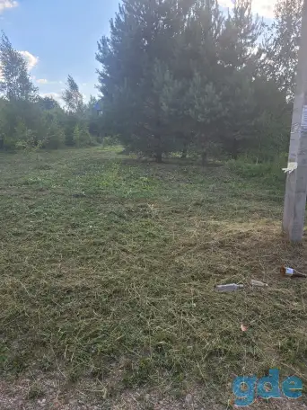 Продам участок в садовом товариществе, Молодеченский р-он, Красненский с/с, с/т РАМОНОК МАЗ, фотография 1