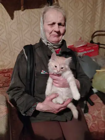 Отдам котят, фотография 2