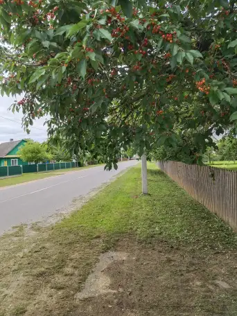 Продается дом, фотография 2