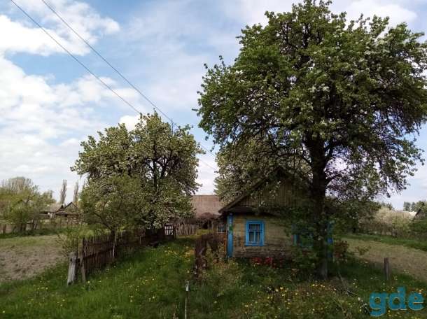 Продам дом в аг. Ревятичи, Берёзовский р-н, Брестской области, фотография 11