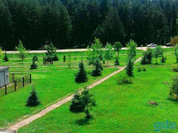 Сдам 1к. квартиру на Нарочи, фотография 1