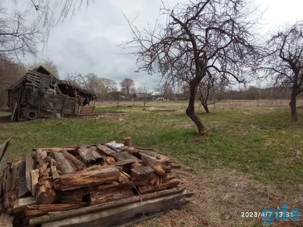 Дрова даром отдам., фотография 1