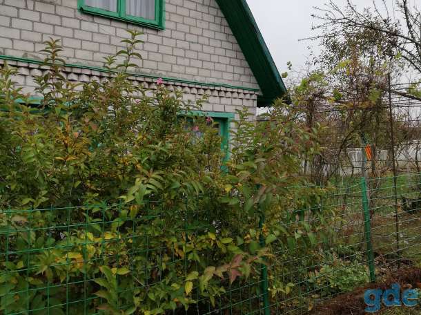 Продам дачу, с/т Верасы, Коптевский с/с, р-н д.Гривки, 8 км от Южного рынка., фотография 1