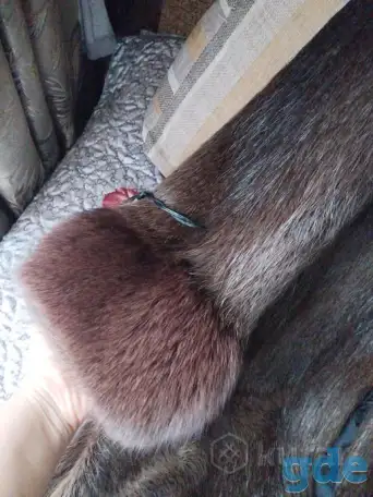 Новая шуба, фотография 1