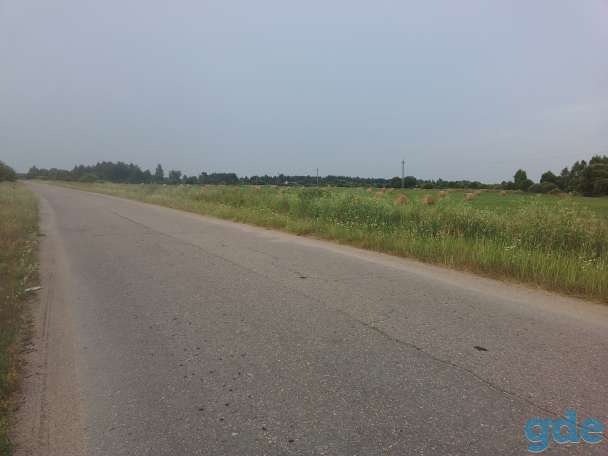Продажа земли в Смоленской обл. (1 км. от границы с РБ), фотография 2
