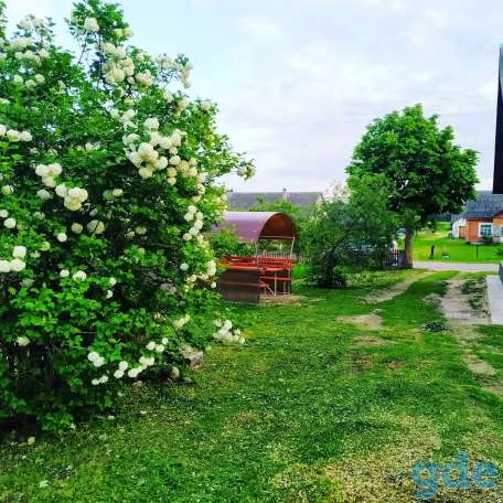 Агроусадьба на Нарочи, ул. Маркова 37, фотография 7