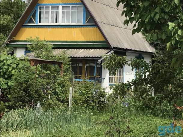 Дача в живописном месте Гомель полёт 2, фотография 8