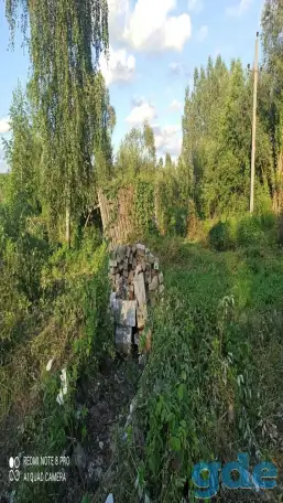 Дачный участок, Петушки Новики, фотография 1