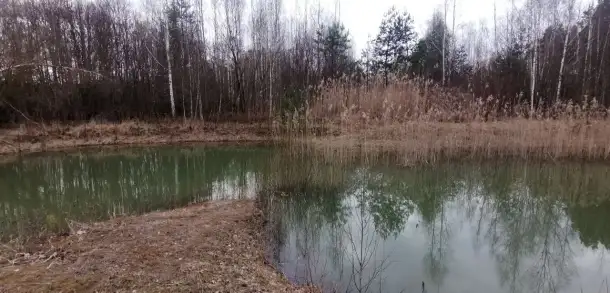 Участок кфх под Гродно для агроэкотуризма или сх, фотография 4