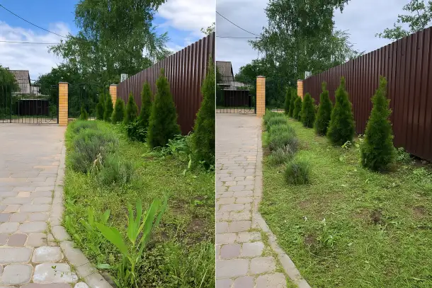 Покос травы, фотография 4