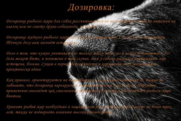 Масло из лосося камчатского SALMON OIL 100мл., фотография 3