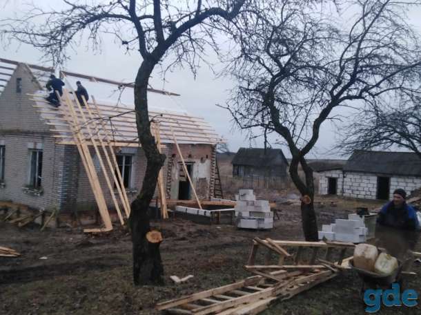 Вырубка деревьев, кустов, демонтаж заводов, фотография 4