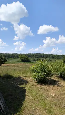 Хутор у озера и леса, деревня Заболотники, Синявский сельсовет, район, Минская область, фотография 5
