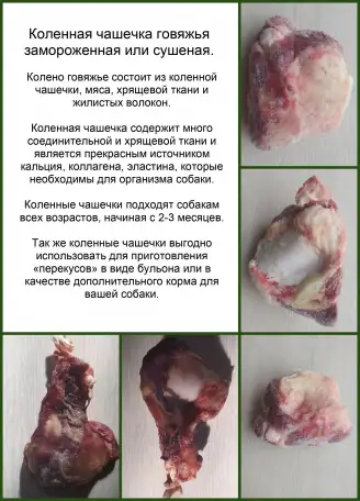 Натуральные лакомства для собак и кошек 100гр. Чашечка  колено говяжье, фотография 3