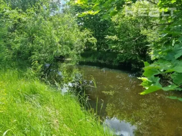 Дом, Деревня Головли, гроднен. Область, дятловский р-н, фотография 6