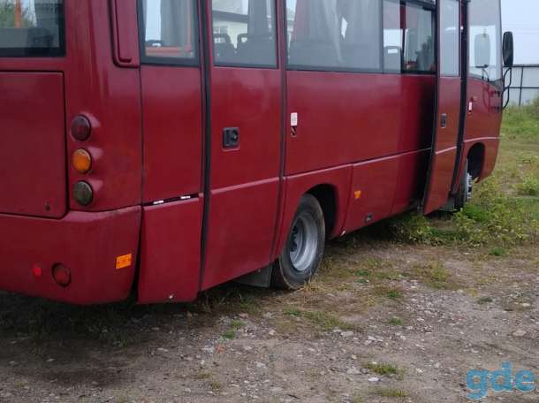 Автобус МАЗ, фотография 4
