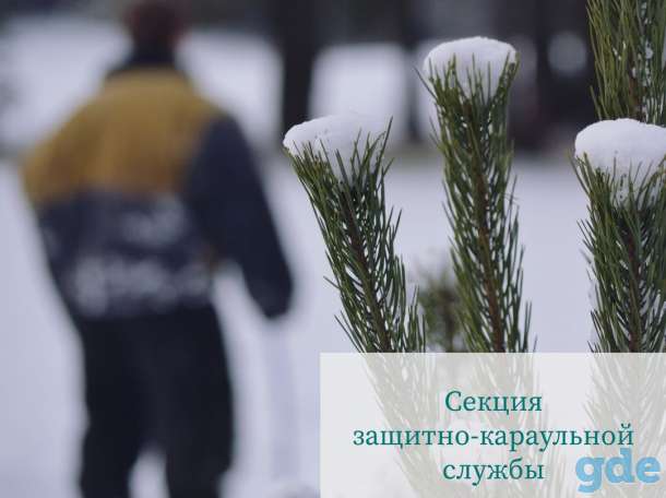Секция защитных собак, фотография 4