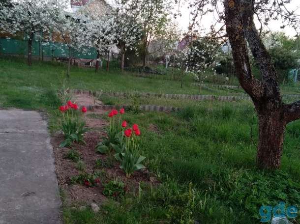 Продаю загородный дом.Гродно,Пагараны,энергетик 4, фотография 8